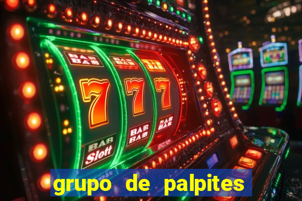 grupo de palpites de futebol whatsapp